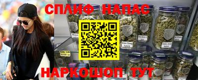 амф Дубна