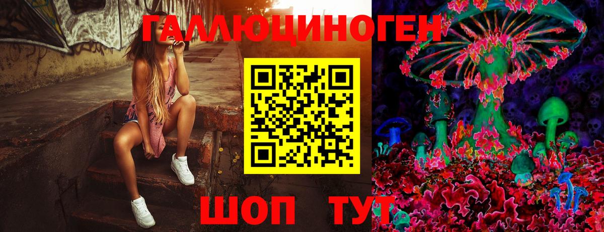 Галлюциногенные грибы мухоморы  Муром 