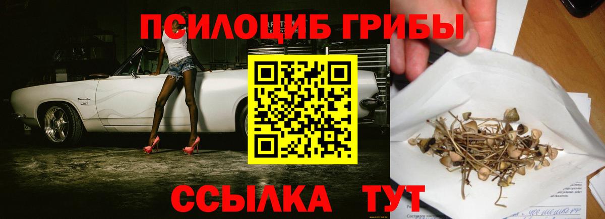 Псилоцибиновые грибы GOLDEN TEACHER  Псилоцибиновые грибы мухоморы  Вход с VPN  Муром 